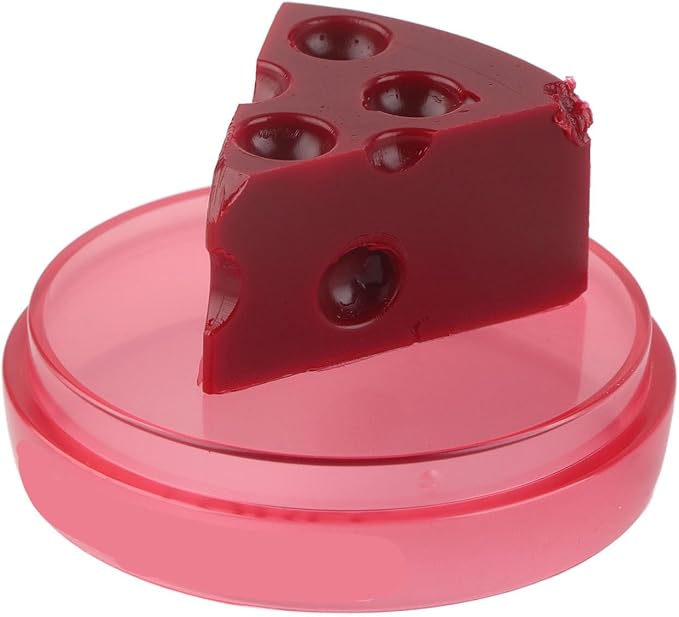 Cheese Shaped Lip Balm, Moisturizing Nourishing Repair Lip Balm, Hydrating Lip Balm for Chapped Cracked Lips 0.3oz(01)-Velvo Beauty