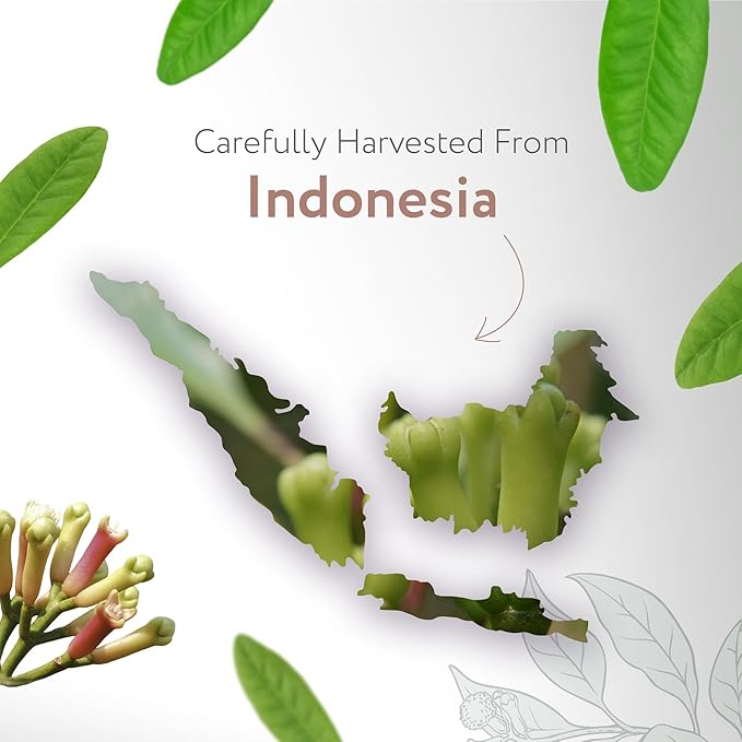 HBNO Organic Clove Bud Essential Oil - 4 oz (120ml) - USDA Certified Organic Clove Bud Essential Oil, Soap Making, DIY, Fragrances, Diffuser-Velvo Beauty