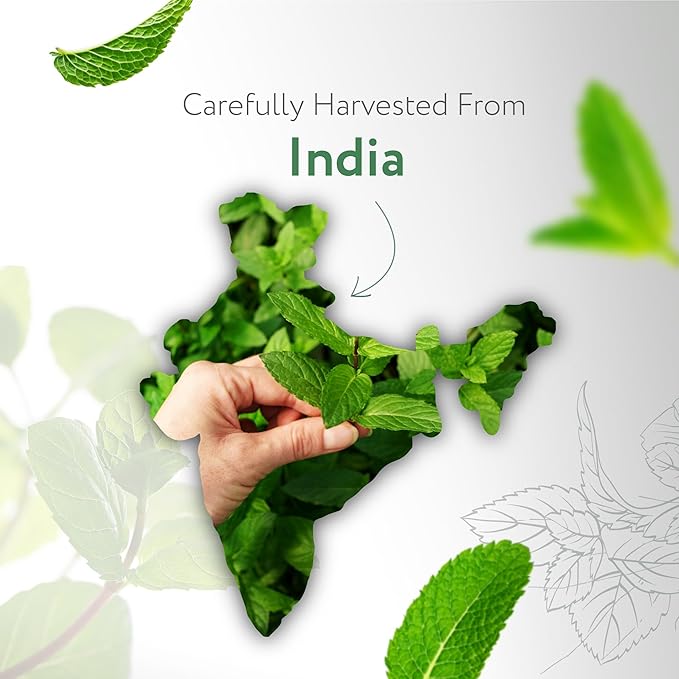 HBNO California Bottled Organic Peppermint Essential Oil (Mentha Piperita) 4 fl oz (120ml) - USDA Certified Organic Peppermint Oil for Hair - Perfect for Aromatherapy-Velvo Beauty