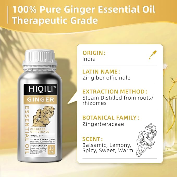 HIQILI 16 Fl Oz Ginger Oil, 100% Pure Natural Ginger Essential Oil for Hair, Massage, Skin - 500ML-Velvo Beauty