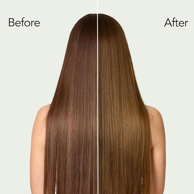 Chestnut Brown Hair Dye Shampoo with Argan Oil for Men & Women, 3 in 1 Semi-Permanent Formula, 16.9 Fl oz - Easy to Use, Covers Gray Hair-Velvo Beauty