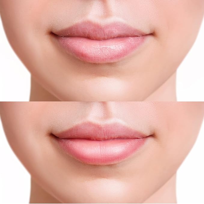 WELCOS FRUDIA Honey Lip Balm – Blueberry | Lip Exfoliating, Moisturizing & Volumizing Dewy Tinted Lip Balm | Organic Lip Balm for Dry & Chapped Lips w/Jeju Blueberry and Honey Extracts (0.33 oz)-Velvo Beauty