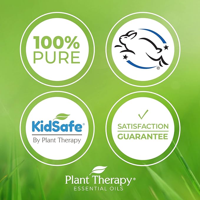 Plant Therapy KidSafe Better Than Kisses Healing Balm 4 oz Pure, & Natural Healing Balms-Velvo Beauty
