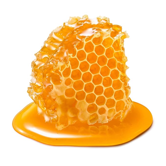 Earth To Skin Facial Care Starter Set: Manuka Honey Cleanser (1.0 Fl Oz), Day Gel Cream (0.5 Fl Oz), Night Cream (0.5 Fl Oz), and Royel Jelly Eye Cream (0.23 Fl Oz)-Velvo Beauty