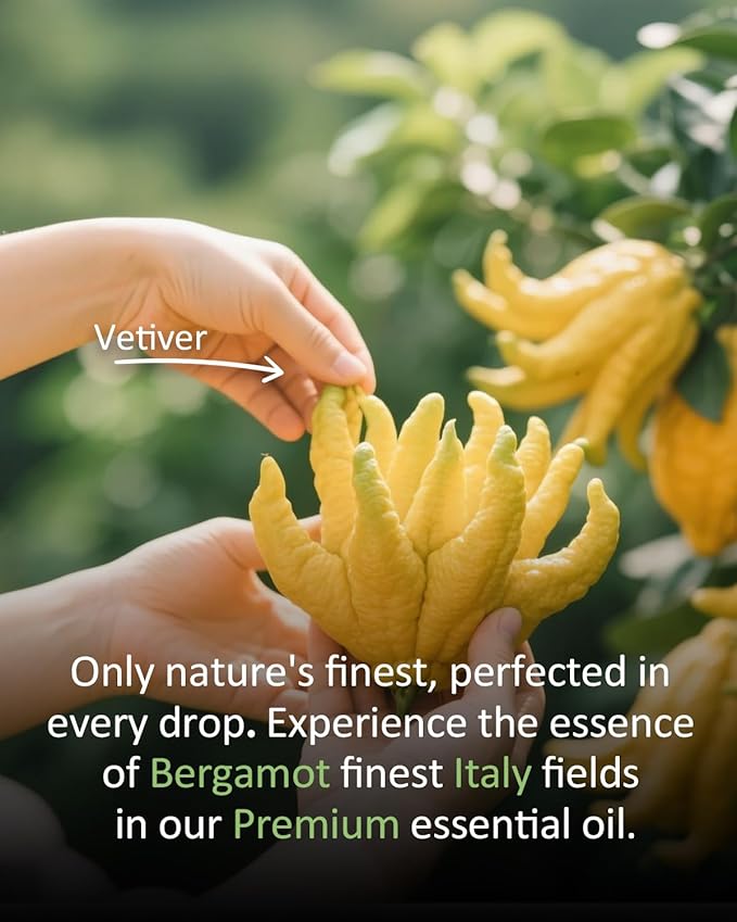 Bergamot Essential Oil Pure Citrus Oils Aromatherapy for Natural Reed Diffuser & Soap Making Fall Scents Room Spray Skin 4 Fl Oz-Velvo Beauty