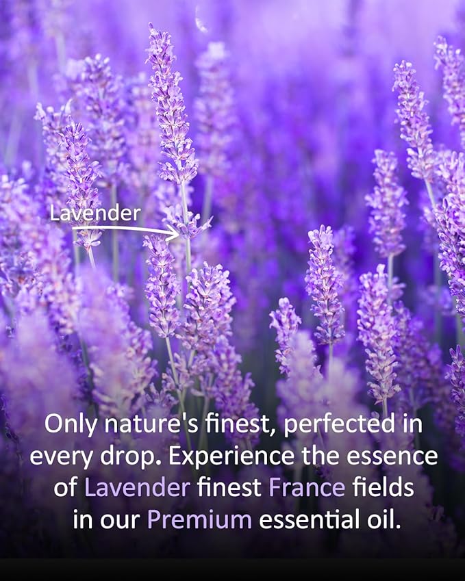 Premium Lavender Essential Oil for Relaxation DIY Diffusers Candles Nails Soaps Shampoo Scented Oil 4 Fl Oz-Velvo Beauty