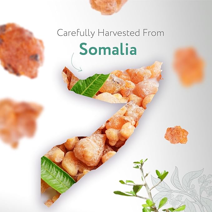 HBNO Myrrh Essential Oil - 1/3 oz (10 ml) Travel Size - Natural Myrrh Oil - Perfect for Cleaning, Aromatherapy, DIY, Soap and Diffuser - Myrrh Essential Oils-Velvo Beauty