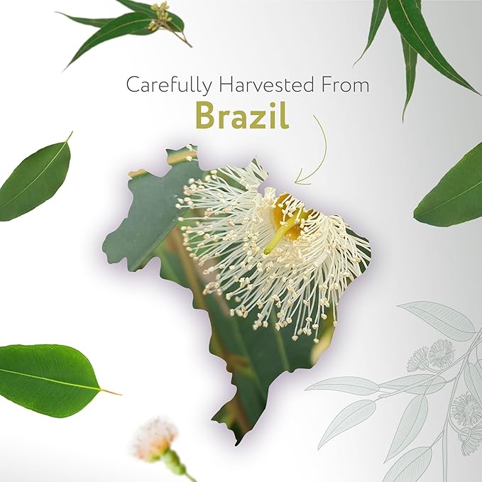 HBNO Lemon Eucalyptus Essential Oil - 4 oz (120ml) - Natural - Perfect for Cleaning, Aromatherapy, DIY, Soap & Diffuser-Velvo Beauty