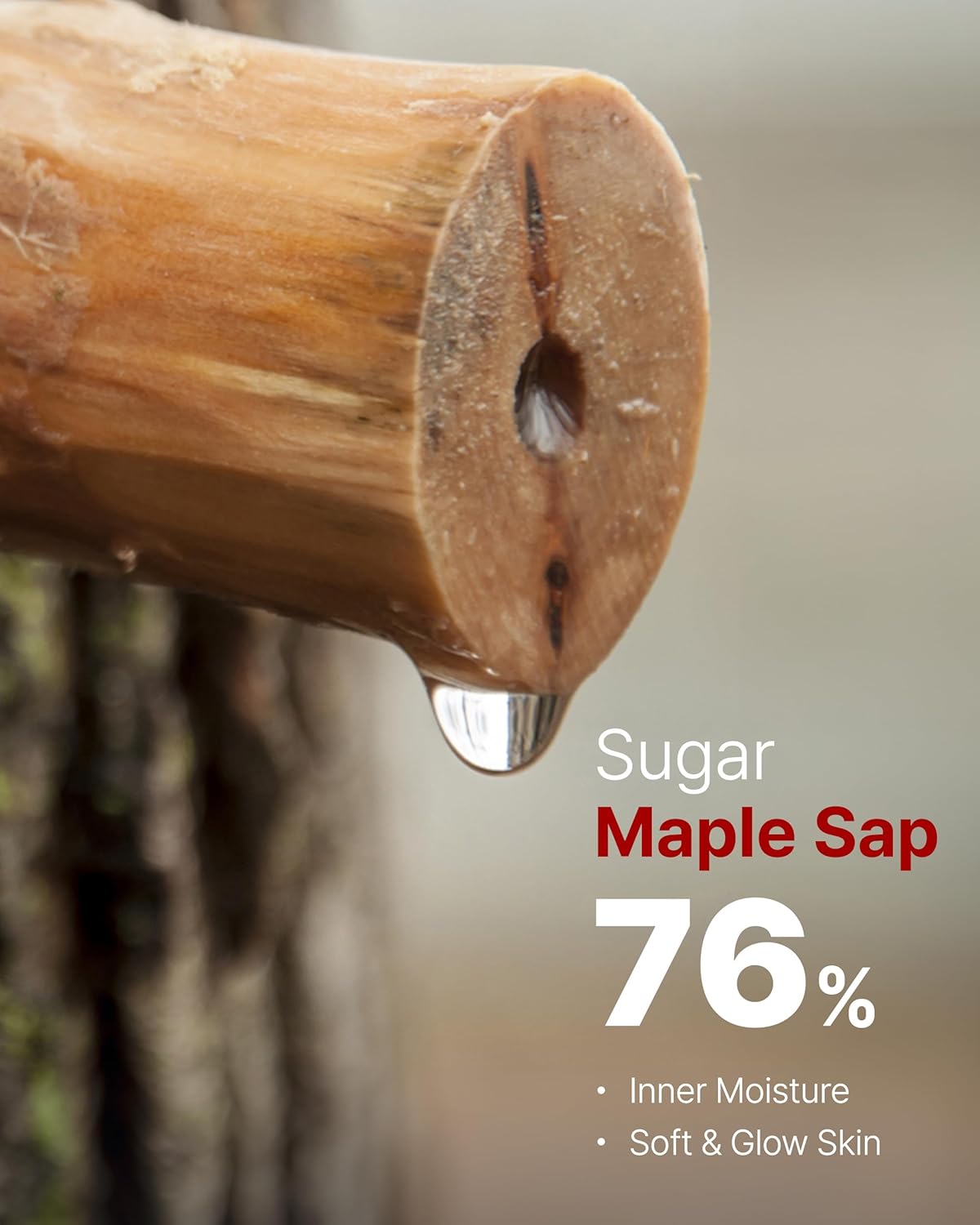 MAY COOP Moisture Essence Toner – Korean Hydrating & Nourishing Skincare for Dry Sensitive Skin with Wildcrafted Centella Asiatica, Rice Water & Birch Bark – Fast-Absorbing Texture – 5.07 fl. oz.-Velvo Beauty