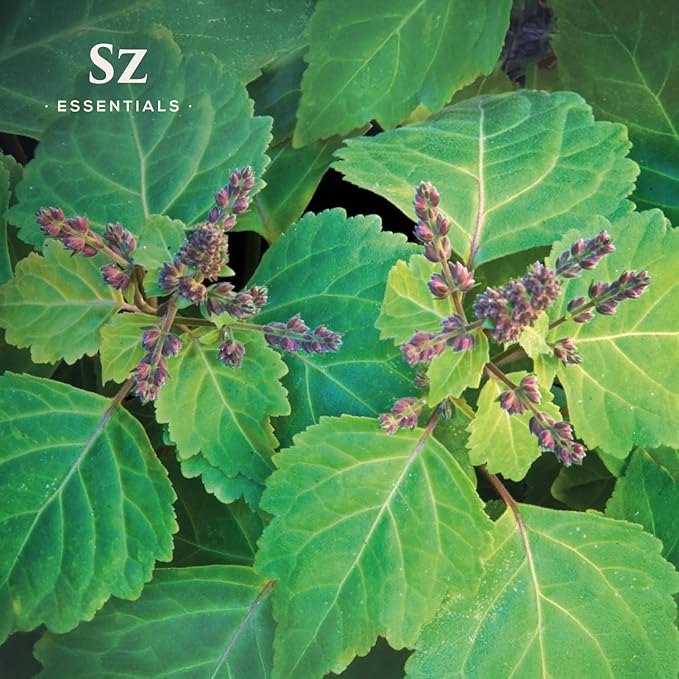 – 5-Year Aged Dark-Patchouli – Premium Essential Oil – Deep, Earthy Aroma | 100% Pure for Aromatherapy, Wellness & Natural Perfumery – DIY | Therapeutic Grade & Vegan – 0.17 fl oz.-Velvo Beauty