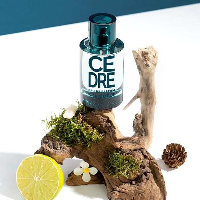SOLINOTES Cedarwood Perfume for Men - Eau De Parfum | Refined Woody and Soothing Fragrance - Made in France - Vegan - 1.7 fl.oz-Velvo Beauty