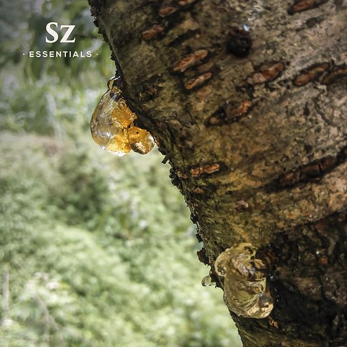 Elemi Essential Oil (Canarium Luzonicum) - 100% Pure and Undiluted - Fresh, Citrusy & Spicy Scent with Subtle Balsamic and Peppery Undertones - Therapeutic Grade & Vegan -0.17 oz (5ml)-Velvo Beauty