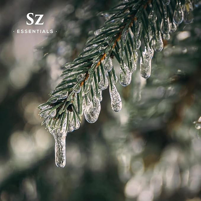 Silver Pine Essential Oil - 100% Pure & Undiluted- Extracted from Pinus Sylvestris - Clean & Fresh Scent with Woody Overtones - Therapeutic Grade & Vegan - 0.17oz (5ml)-Velvo Beauty