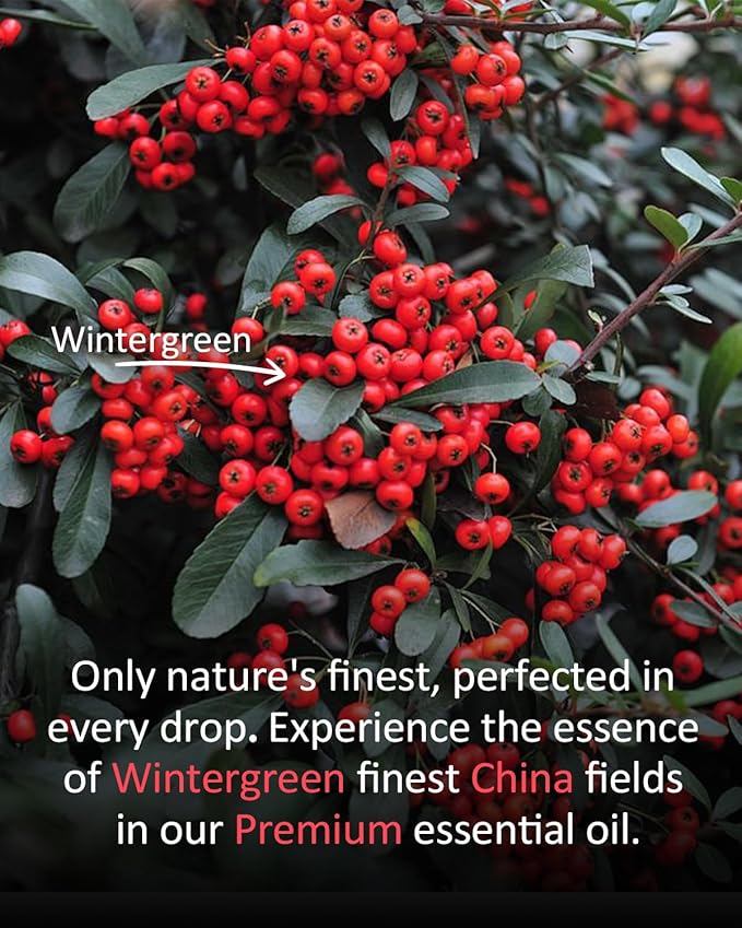 Pure Wintergreen Essential Oil, 100% Pure Natural Wintergreen Essential Oil, Premium Grade Essential Oils for Diffusers for Home, Skin, Care Massage, Soap Make, Aromatherapy, 4 Fl Oz | 120ml-Velvo Beauty