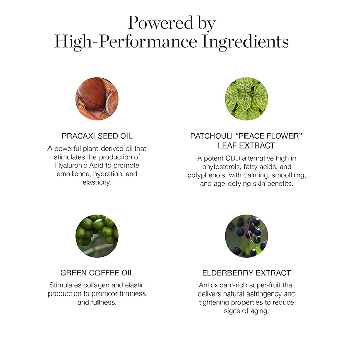 Ogee Sculpted Complexion Foundation Stick (Hazel 2.00N - Light, Golden Undertones) Full Coverage Foundation Makeup - Instantly Balance & Even Complexion - 70% Organic Ingredients-Velvo Beauty