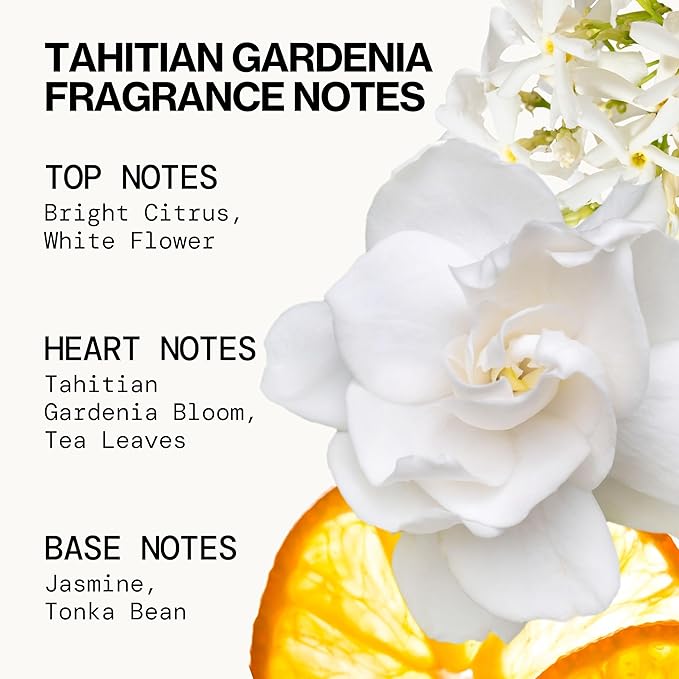 Pacifica Beauty, Wanderlust Spray Perfume Trial Set, Island Vanilla, 5 Scents, Fragrance Sampler Gift Set, Natural & Essential Oils, Clean, Vegan & Cruelty Free-Velvo Beauty