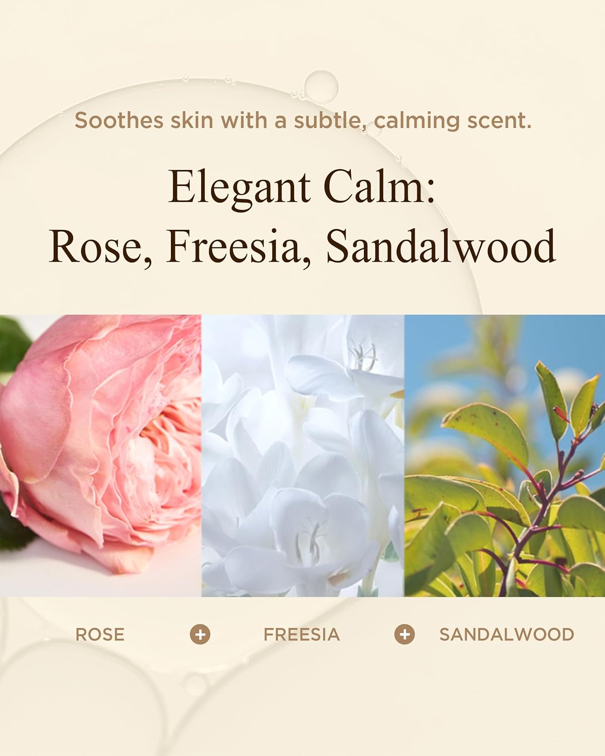 Bon Yeon Jin Korean Red Ginseng Face Emulsion Lotion for Dry Skin Deep Hydrating Anti-Aging Fiming with Ceramide, Hyaluronic Acid and Shea Butter for Women & Men 5.41 fl.oz.-Velvo Beauty