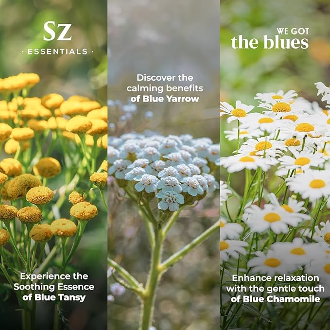 – “We Got The Blues” Essential Oils Set – Blue Tansy, Yarrow & German Chamomile – 3 x 6.5ml Bottles – 100% Pure, Natural, Undiluted – Therapeutic Grade & Vegan-Velvo Beauty