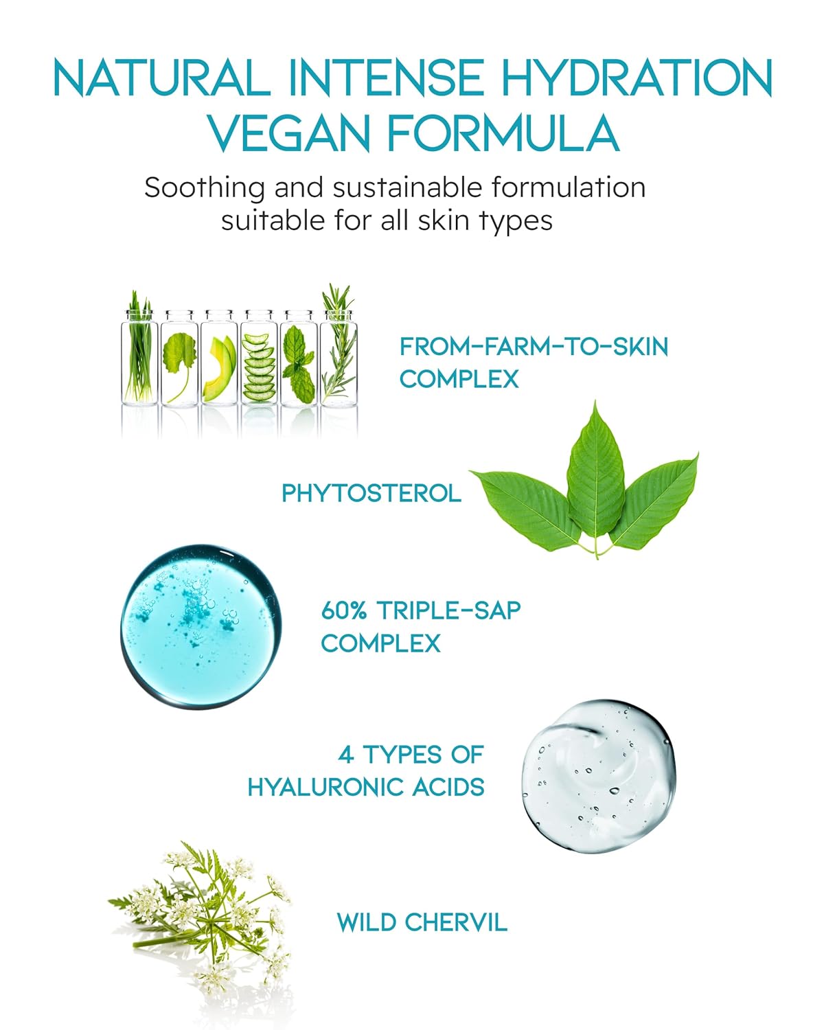 BEYOND Phyto Aqua Moisture Cream (Face Cream, 1.7fl oz) – Vegan Korean Skin Care for 100-Hour Hydration & Skin Barrier by LG Beauty-Velvo Beauty