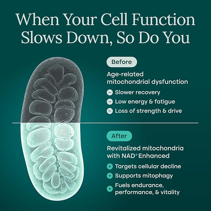Liposomal NAD+ Supplement 500mg with Urolithin A, CoQ10, Resveratrol & Giloy (Made in USA) Mitochondrial, Cellular Energy, Cognitive, Anti-Aging & Detox Support - 3rd Party Tested Vegan, Non-GMO-Velvo Beauty