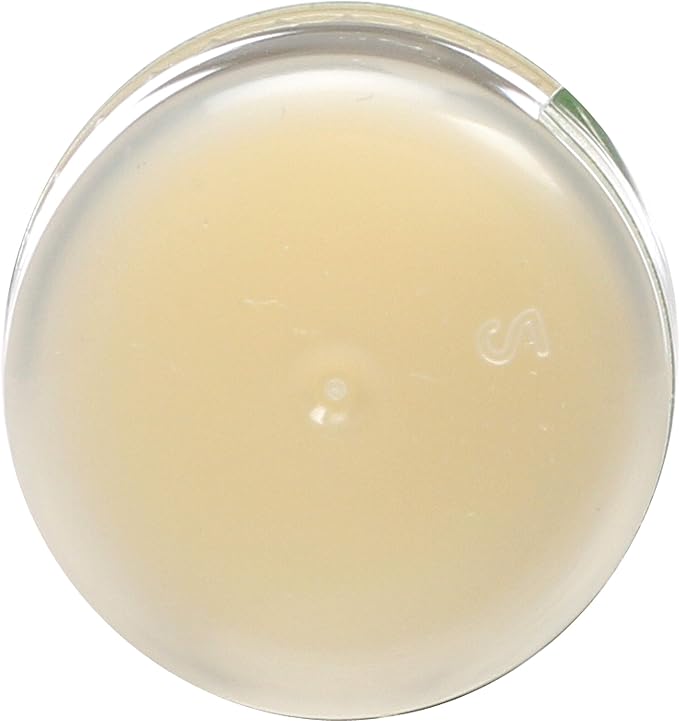 Eco Lips Organic Mongo Kiss Peppermint Lip Balm, USDA Certified Organic, 0.25 Ounce (Pack of 15)-Velvo Beauty