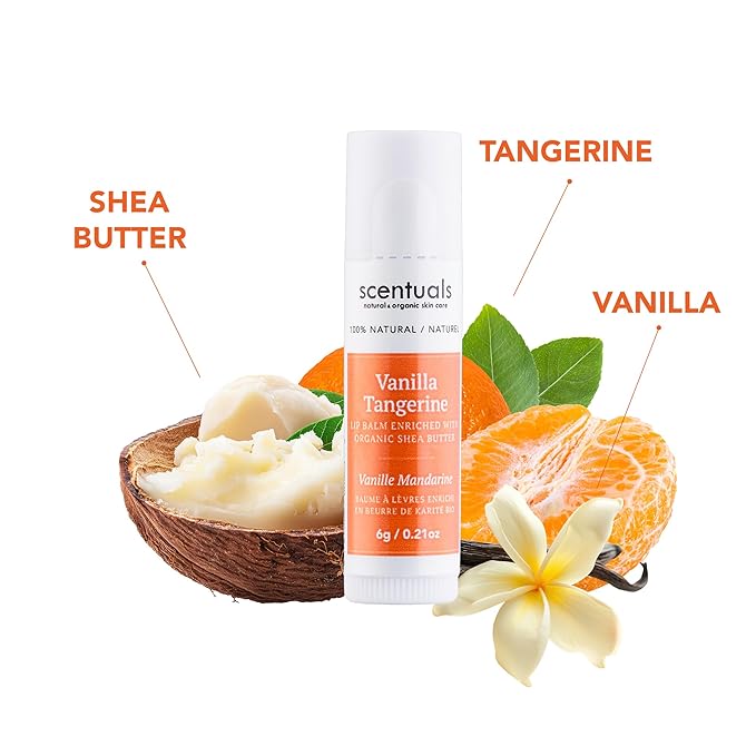 Lip Balm Vanilla Tangerine Set of 3, Made with Shea Butter, Cocoa Butter, Avocado & Jojoba oil, Beeswax, Vitamin E and Essential oil, Moisturizing Lip Care, Cruelty Free Hydration, Natural (3 Pack)-Velvo Beauty