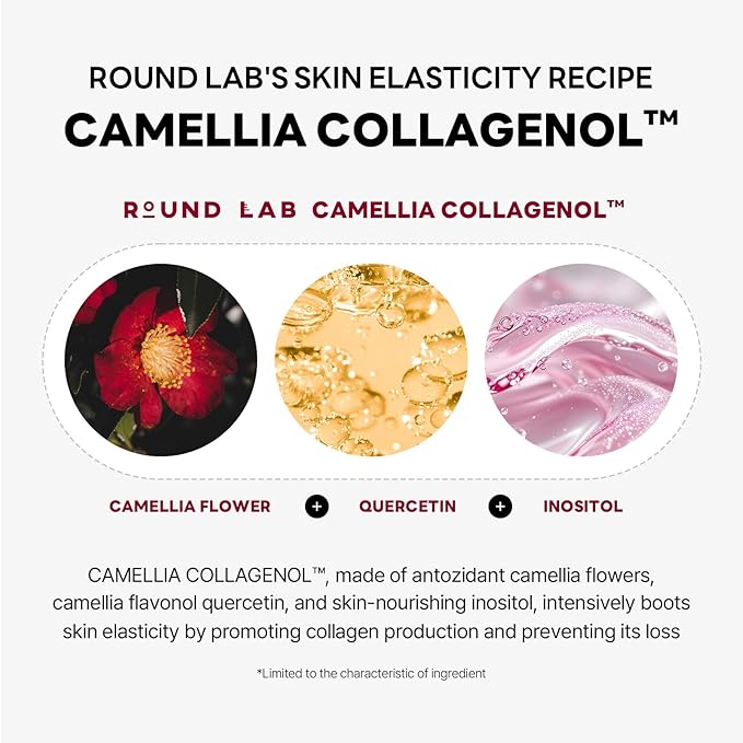ROUND LAB Camellia Deep Collagen V Lifting Gel Mask 14EA | Double-chin Mask, Instant Cooling & Depuffing, Face Toning Belt, Collagen V-line, Improves Sagging Skin, Lifting & Firming 10g/0.35oz-Velvo Beauty