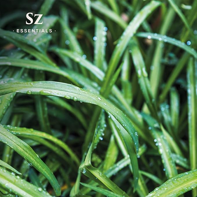 – Ginger Grass Essential Oil – 100% Pure & Undiluted (Cymbopogon martinii VAR. Sofia)– Fresh Citrusy Earthy Aroma – Aromatherapy, Perfumery, Skin Care – Therapeutic Grade - 1/6 oz. 5 mL-Velvo Beauty