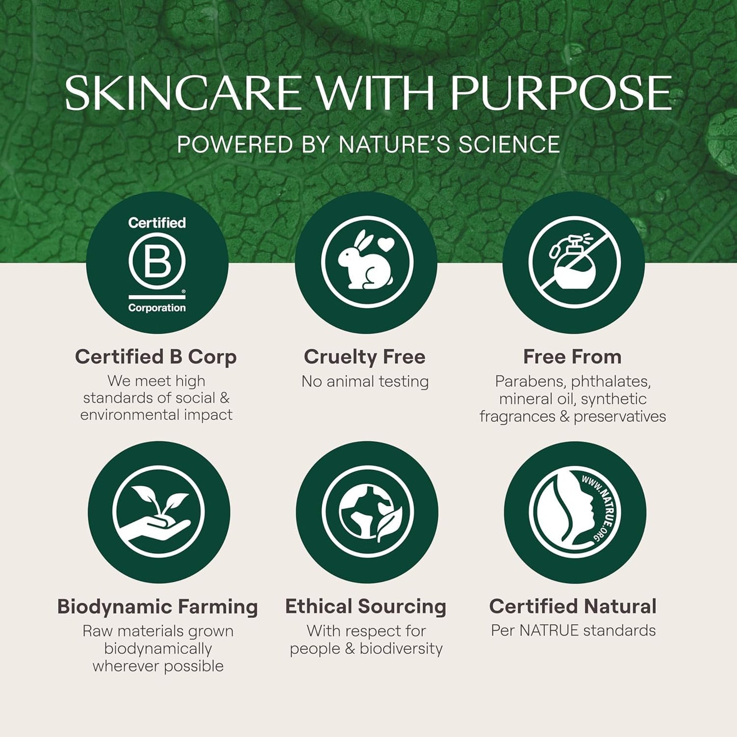 Weleda Skin Food Face Care Nourishing Night Cream, 1.3 Fluid Ounce, Plant Rich Moisturizer with Sacha Inchi Oil, Cica and Squalane-Velvo Beauty