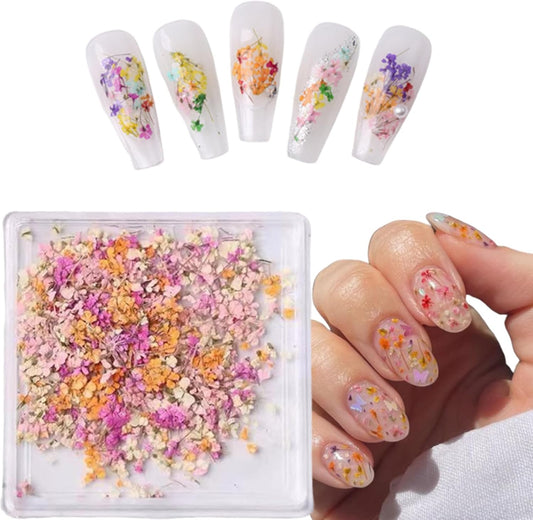 1 Boxes Dried Flowers for Nail Art,Colorful Dry Flowers Mini Real Natural Flowers Nail Stickers DIY Mini Mix Flower Petals Nail Art Supplies for Summer Acrylic Nails Design Manicure Accessories-Velvo Beauty