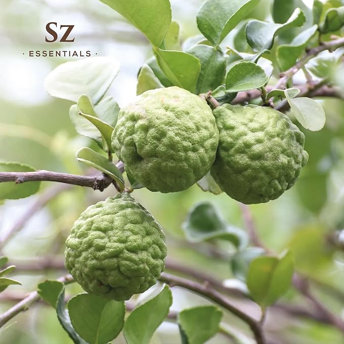 Kaffir Lime Leaf Essential Oil -100% Pure and Undiluted - Extracted from Citrus Hystrix Leaves - Earthy & Citrusy Scent with Fruity Overtones - Therapeutic Grade & Vegan - 0.17oz (5ml)-Velvo Beauty