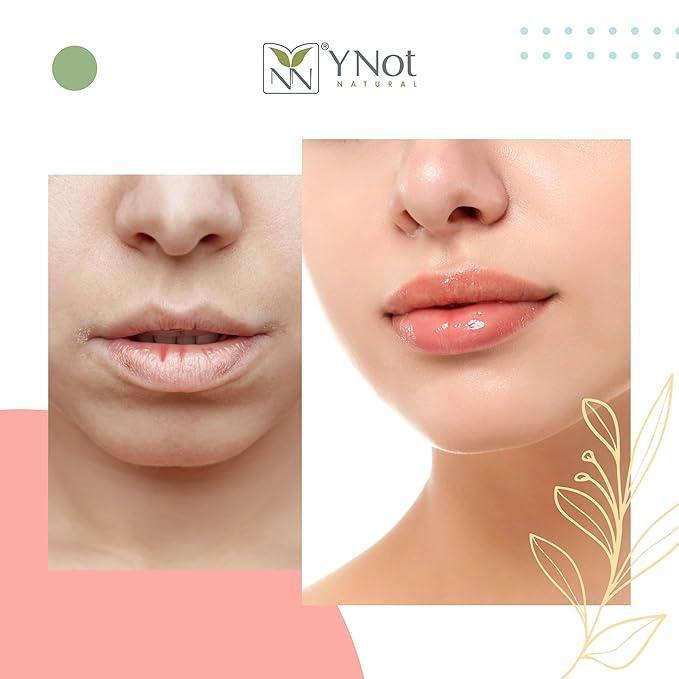 YNN Emu Oil Moisturizing Lip Balm with Extreme SPF50+ Sun Protection - 4-Hour Water Resistant, Fortified with Vitamin E, Amino Acids & Omega 3, 6 & 9 - Y-Not Natural, 15g Stick - 2 Pack-Velvo Beauty