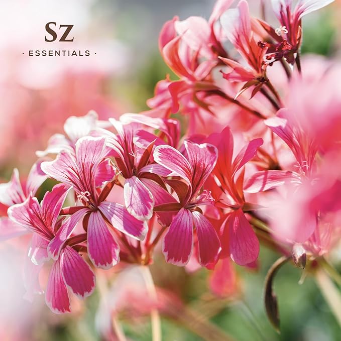 High Altitude Geranium Essential Oil – 100% Pure & Natural, Grown in The High-Altitude – Aromatherapy, Home Use – Therapeutic Grade & Vegan – 5 mL-Velvo Beauty