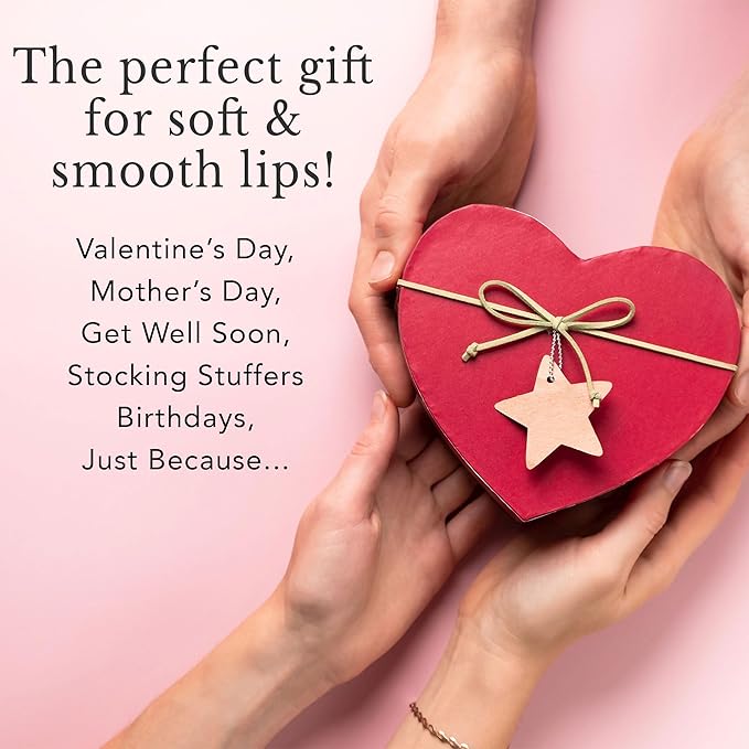 Natural Lip Balm Chapstick Pack - 12 Chap Stick Organic Lip Balm Set for Lip Healing and Repair - Natural Chapstick Hydrating Lip Balm for Dry Cracked Lips Flavored Lip Balm-Velvo Beauty