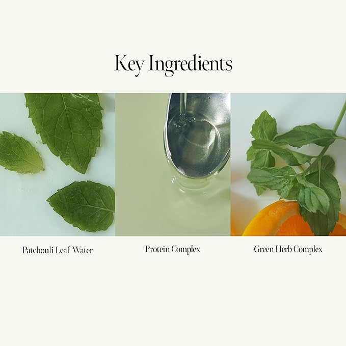 Patchouli Garden Damage Repair Shampoo - Korean Hair Care Nourishing Shampoo for Men & Women w/Patchouli Leaf Water, Protein Complex & Green Herb Complex - Vegan Scalp Cleanser (15.22 fl.oz)-Velvo Beauty