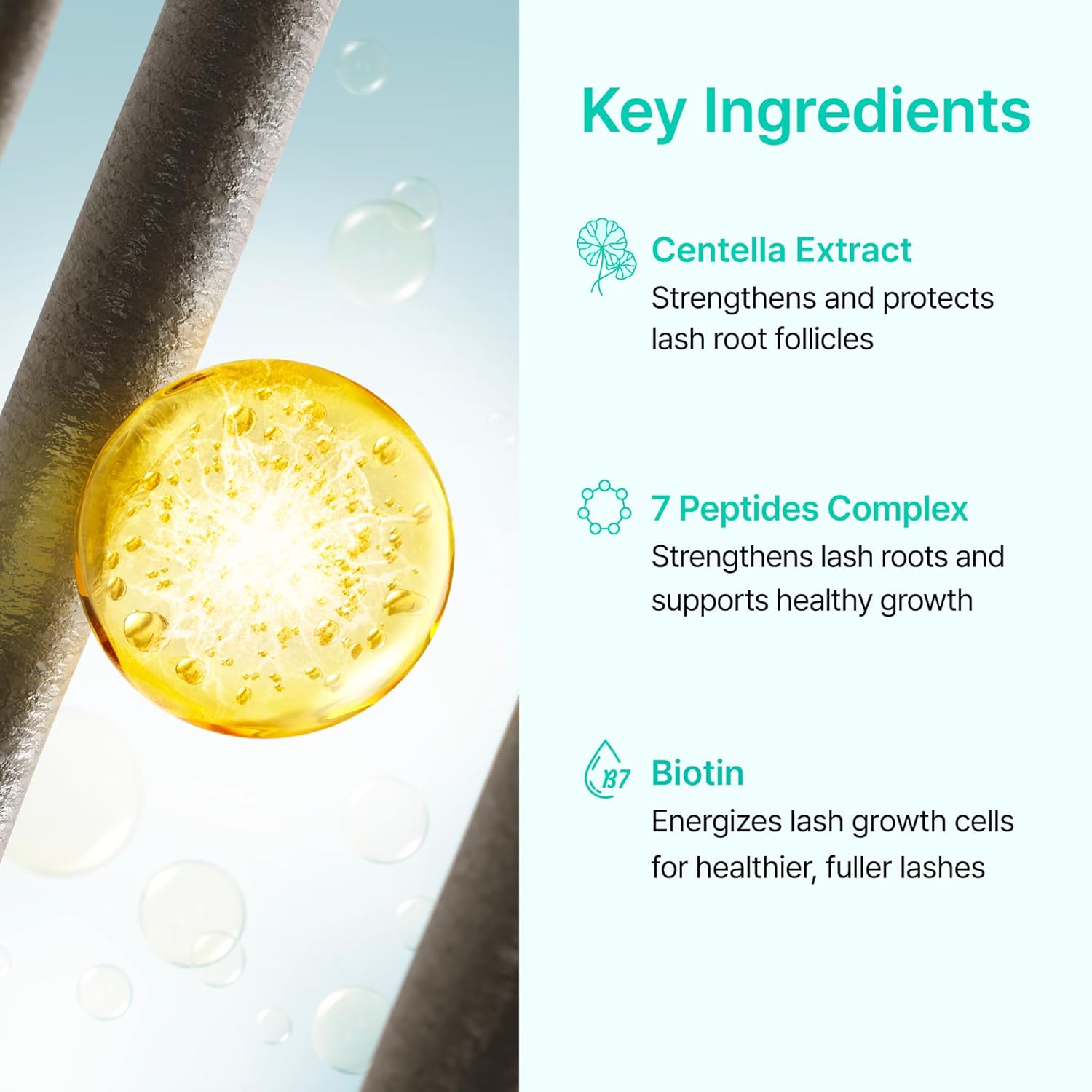 Korean Lash Serum for Fuller, Thicker Lashes | Daily Eyelash & Eye Brow Growth Booster with Biotin, Centella, Peptides, Hyaluronic Acid | Prostaglandin-Free, Vegan, Non-Irritating, 0.3 fl oz-Velvo Beauty