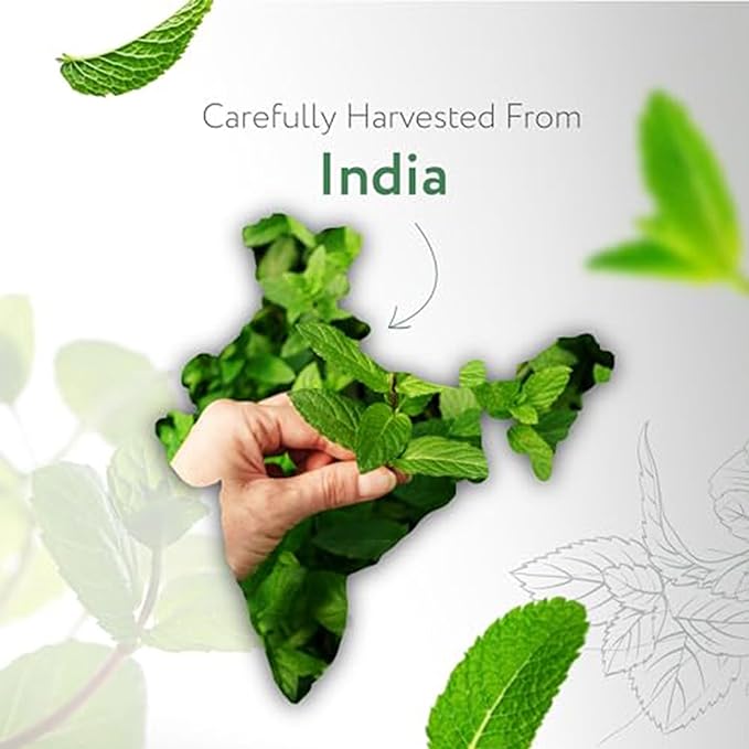 HBNO Spearmint Essential Oil - Huge 4 oz (120ml) Value Size - Natural Spearmint Oil - Perfect for Cleaning, Aromatherapy, DIY, Soap & Diffuser -Velvo Beauty