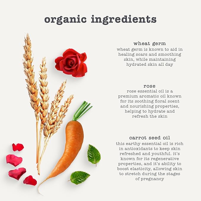 Erbaviva Organic Stretch Mark Oil for Pregnancy, Stretch Marks & Scars - 16 Fl Oz-Velvo Beauty