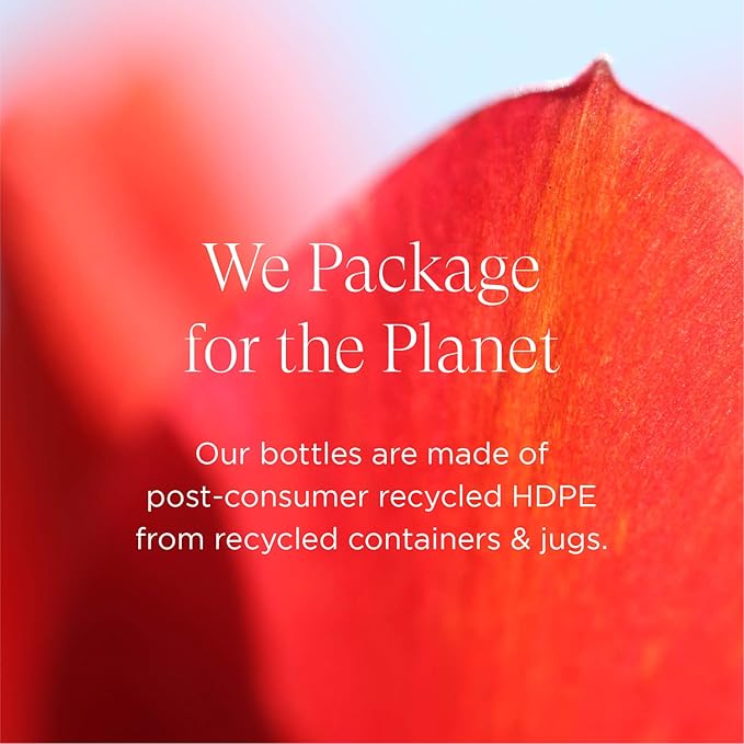 Intelligent Nutrients OneBody Hand Balm & Lip Delivery Nutrition Holiday Set - Help Soothe Dry Hands, Cuticles & Lips (2-Piece Set)-Velvo Beauty