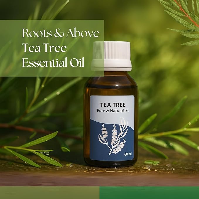 Roots & Above Tea Tree Essential Oil 2.02 Oz/60ml Pure Natural Oils for Skin, Face, Hair, Diffusers, Massage, Soap & Candle Making Scent-Velvo Beauty