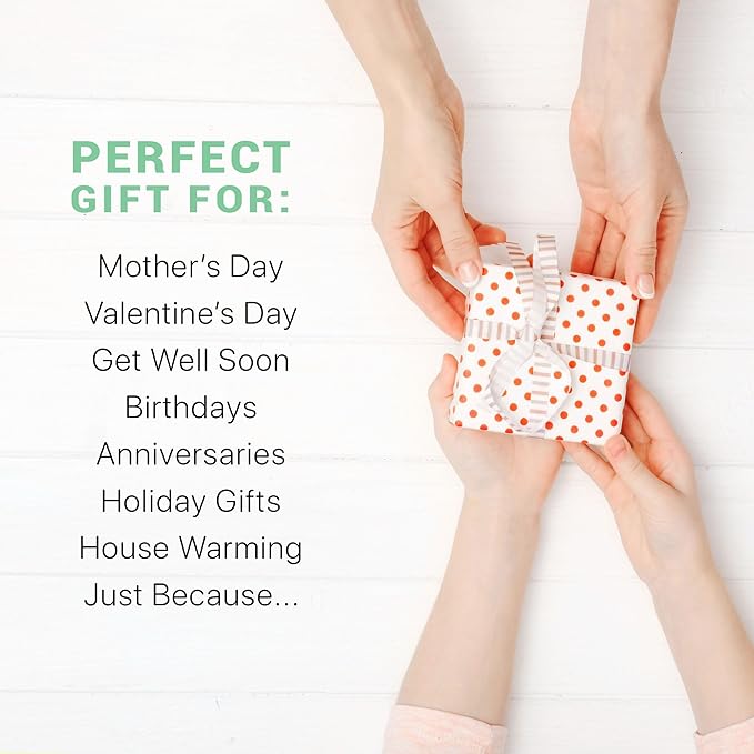 Organic Lip Scrub Mint - Lip Scrubs Exfoliator & Moisturizer, Lip Exfoliator Scrub, Sugar Lip Scrubs, Lip Sugar Scrub, Lip Care Products for Chapped Lips, Lip Scrubber, Lip Moisturizer for Dry Lips-Velvo Beauty