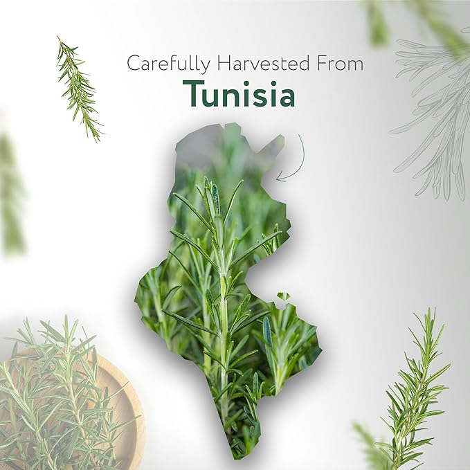 HBNO California Bottled Organic Rosemary Essential Oil 1 fl oz (30ml) - USDA Certified Organic Rosemary Essential Oil for Aromatherapy, Soap Making, DIY, Fragrances, Diffuser-Velvo Beauty