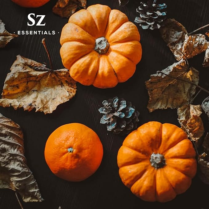 Pumpkin Spice Essential Oil Blend for Diffuser and Humidifier - 100% Pure and Natural - Rich Pumpkin Spice Scent, with Fruity and Spicy Overtones - Vegan - 0.17 floz (5 mL)-Velvo Beauty