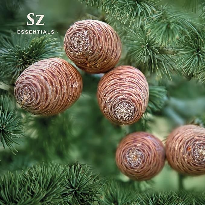 Cedarwood Essential Oil (Cedrus Atlantica) – Therapeutic Grade, 100% Pure & Natural with Soothing Woodsy Aroma for Relaxation, Aromatherapy, Skin Care & Diffuser - 0.17 fl oz. (5ml)-Velvo Beauty