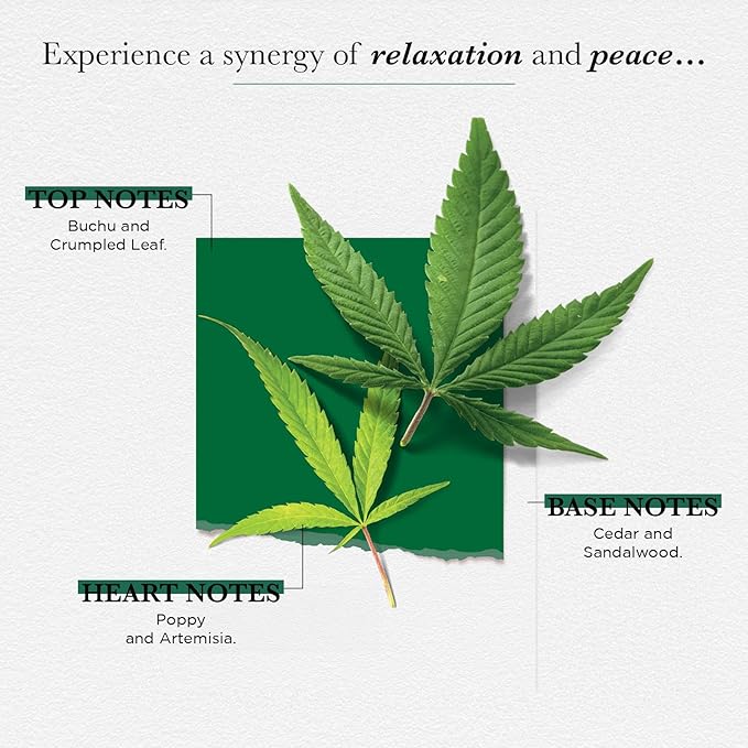 SOLINOTES Zen Meadow Perfume for Women - Eau De Parfum | Delicate Floral and Soothing Scent - Made in France - Vegan - 1.7 fl.oz-Velvo Beauty