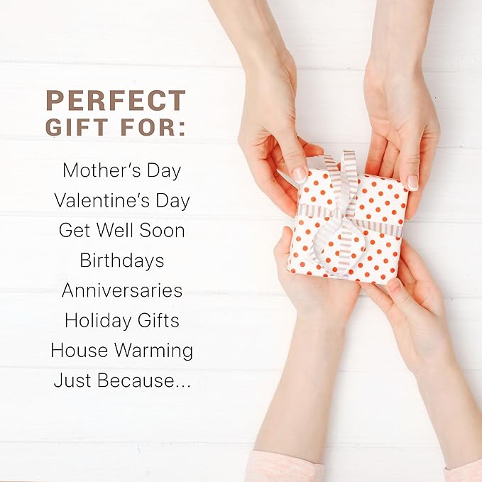 Organic Lip Scrub Vanilla - USA Made Exfoliating Lip Scrub with Natural & Organic Ingredients, Moisturizing Lip Exfoliator Scrub for Dry Lips, Lip Scrubber Exfoliator & Sugar Scrub for Smooth Lips-Velvo Beauty