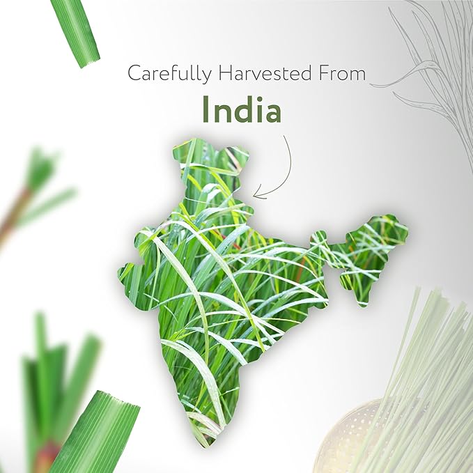 HBNO California Bottled Lemongrass Essential Oil 4 fl oz (120ml) - Natural Lemongrass Oil, Perfect for Cleaning, Aromatherapy, DIY, Soap & Diffuser -Velvo Beauty