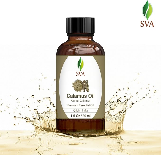 SVA Calamus Essential Oil – 1 Fl Oz – 100% Natural Calamus Oil - for Diffuser, Hair Care, Face, Skin Care, Aromatherapy, Scalp and Body Massage, Soap and Candle Making – with Dropper-Velvo Beauty