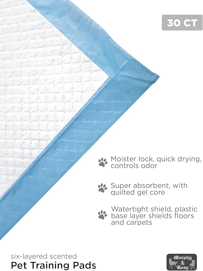 MR30 Murphy & Roxy Pet's Super Absorbent, Six-Layer, Scented Training Pads (30 Pack), Blue-Velvo Beauty