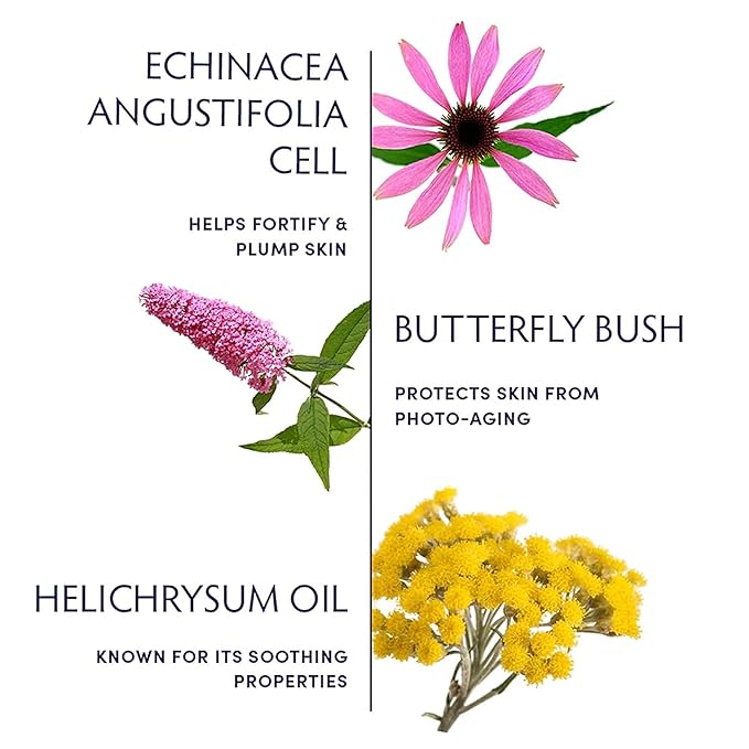 Naturopathica Plant Stem Cell Booster Serum, Daily Anti-Aging Face Serum to Smooth Fine Lines, Firming Facial Serum Helps Plump & Protect Skin, 1.18 fl oz-Velvo Beauty